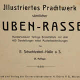 Schachtzabel, E. - photo 1