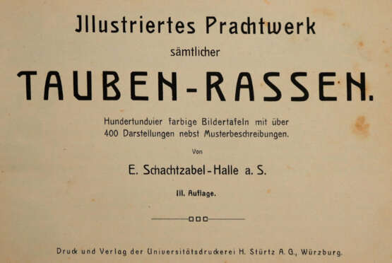 Schachtzabel, E. - photo 1 Schachtzabel, E. - photo 1