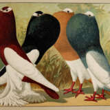 Schachtzabel, E. - photo 2