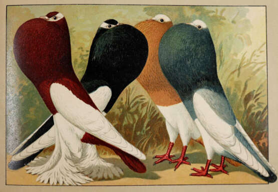 Schachtzabel, E. - photo 2 Schachtzabel, E. - photo 2