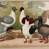 Schachtzabel, E. - photo 3