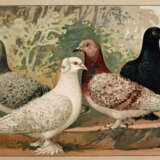 Schachtzabel, E. - photo 4