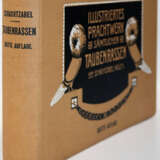 Schachtzabel, E. - photo 5