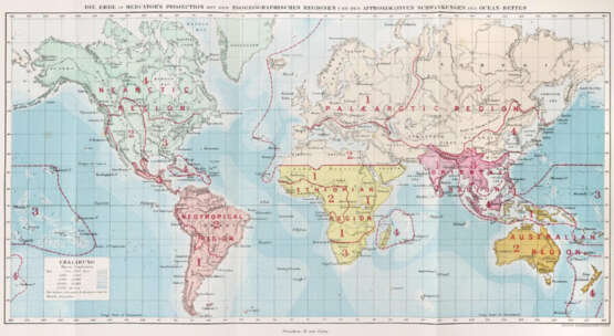 Wallace, A.R. - photo 2