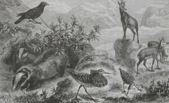 Wallace, A.R. - photo 2