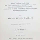 Wallace, A.R. - photo 4