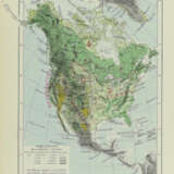 Wallace, A.R. - photo 6