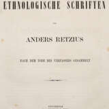 Retzius, A. - фото 1