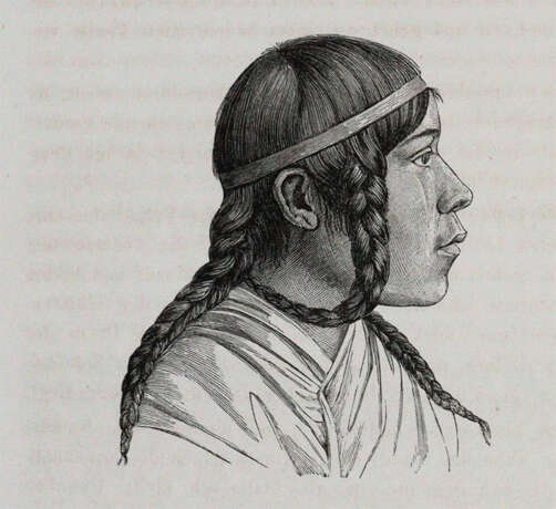 Retzius, A. - фото 2 Retzius, A. - фото 2