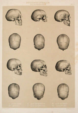 Retzius, A. - фото 3 Retzius, A. - фото 3