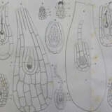 Atti della Riunione - photo 1