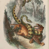 Blanchard, P. - photo 1