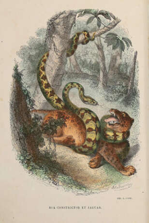 Blanchard, P. - photo 1