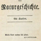 Blumenbach, J.F. - фото 1