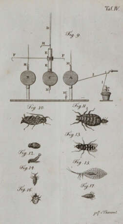 Darwin, E. - фото 2 Darwin, E. - фото 2