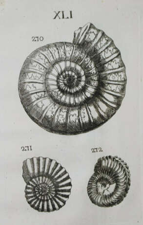 Bourget, L. - photo 2