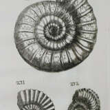 Bourget, L. - photo 2