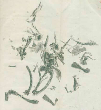 Leonhard, C.C. (Hrsg.). - фото 2 Leonhard, C.C. (Hrsg.). - фото 2