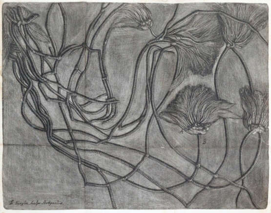 Hiemer, E.F. - photo 2