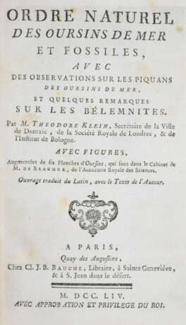 Klein, T. - photo 1 Klein, T. - photo 1