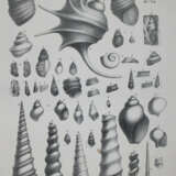 Roemer, F.A. - фото 1