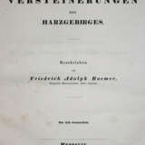 Roemer, F.A. - фото 2