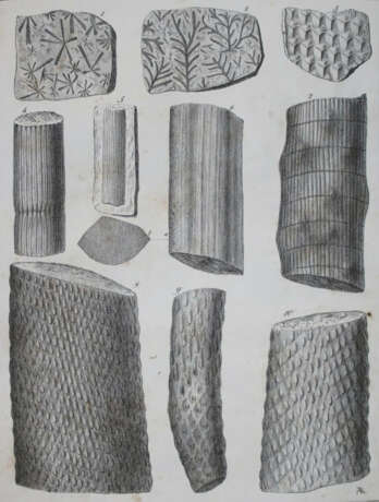 Roemer, F.A. - фото 3