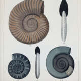 Schmidt, F.A. - фото 2