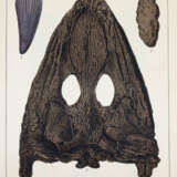 Schmidt, F.A. - фото 3