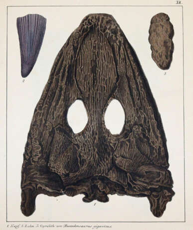 Schmidt, F.A. - фото 3