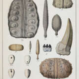 Schmidt, F.A. - фото 4