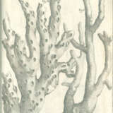 Scilla, A. - фото 7