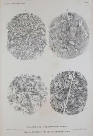 Tschermak, G. - фото 4 Tschermak, G. - фото 4