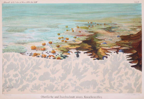 Walther, J. - Foto 1