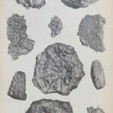 Walther, J. - Foto 2