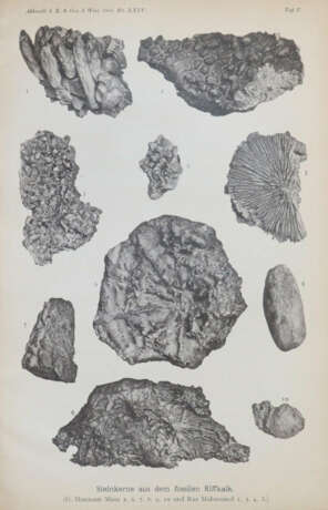 Walther, J. - Foto 2