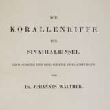 Walther, J. - Foto 4