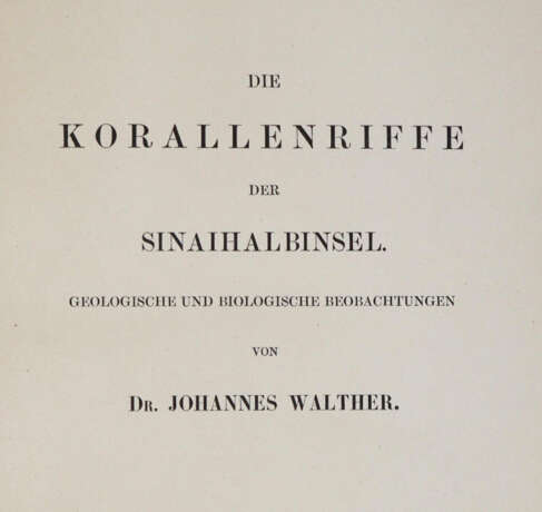 Walther, J. - Foto 4