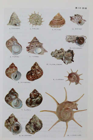 Hoikusha Illustrated Natural History - фото 2 Hoikusha Illustrated Natural History - фото 2