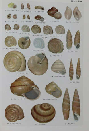 Hoikusha Illustrated Natural History - фото 5 Hoikusha Illustrated Natural History - фото 5