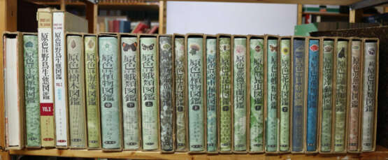 Hoikusha Illustrated Natural History - фото 6 Hoikusha Illustrated Natural History - фото 6