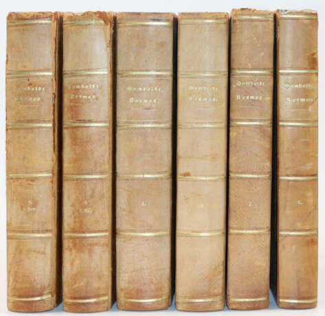 Humboldt, A.v. - photo 2