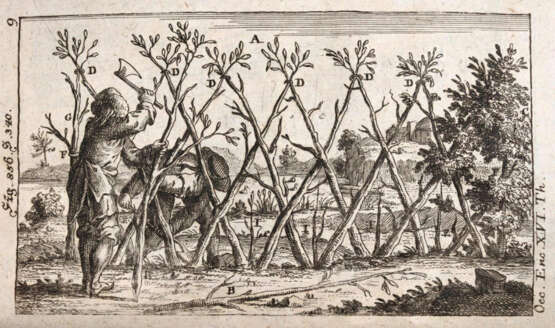 Krünitz, J.G. - photo 1