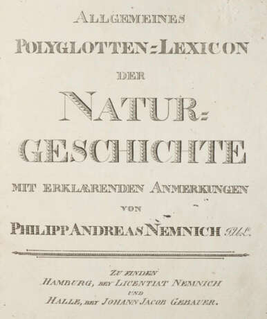 Nemnich, P.A. - photo 1