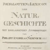 Nemnich, P.A. - photo 1