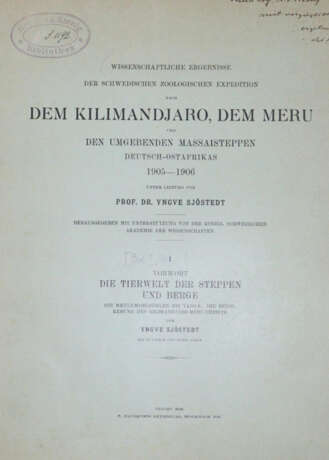 Sjöstedt, Y. - фото 1