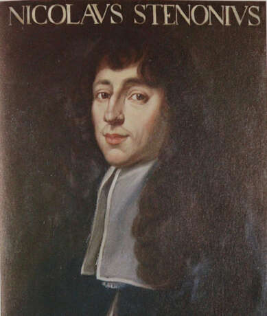 Steno, N. - фото 3 Steno, N. - фото 3