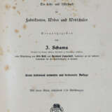 Schams, J. - photo 1