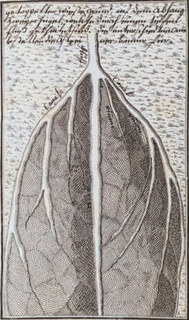 Bertrand, M.J. - photo 2