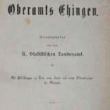 Beschreibung des Oberamts - photo 1